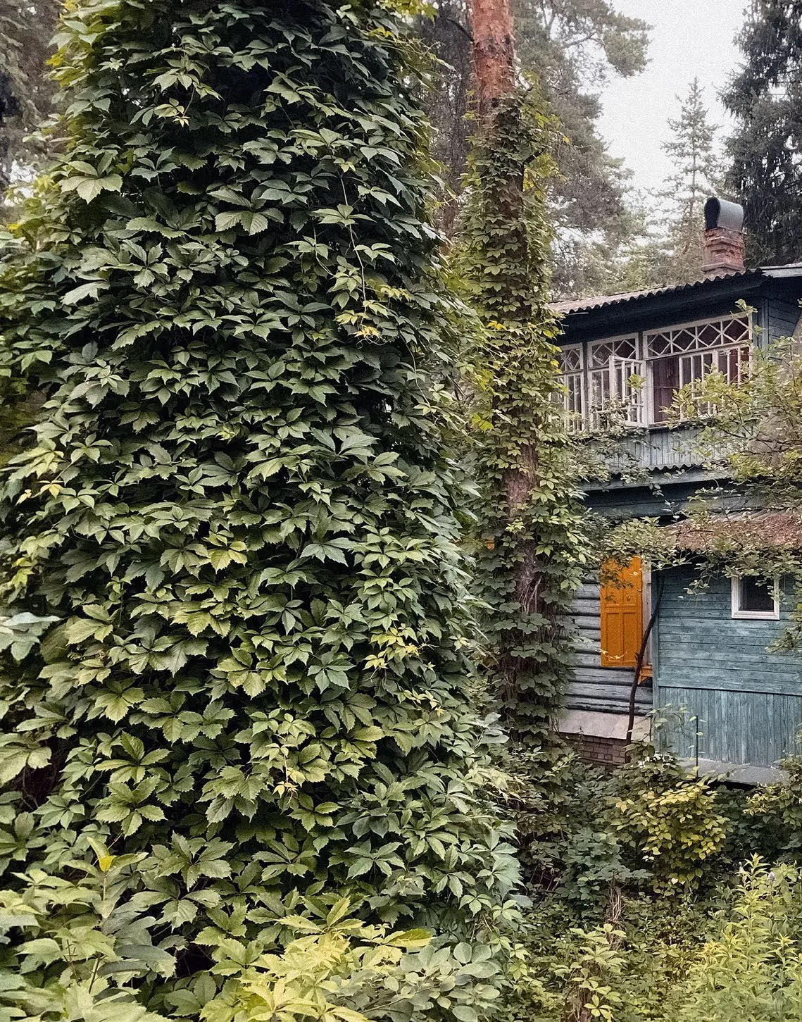 Дом конструктора авиадвигателей, фото 4
