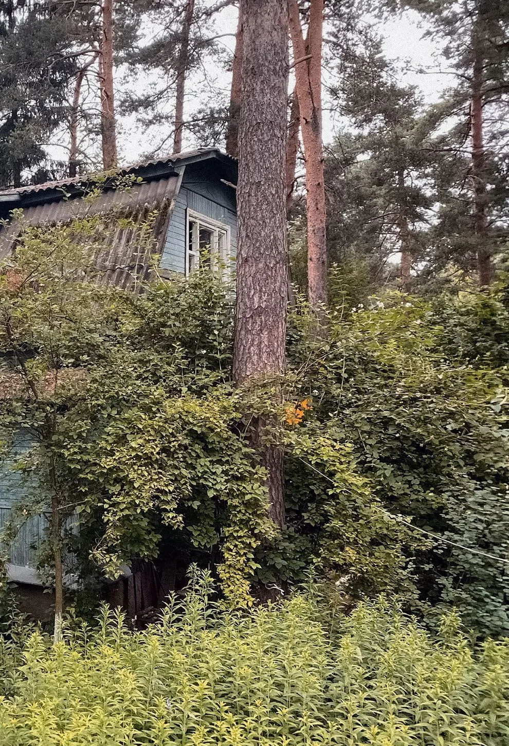 Дом конструктора авиадвигателей, фото 5