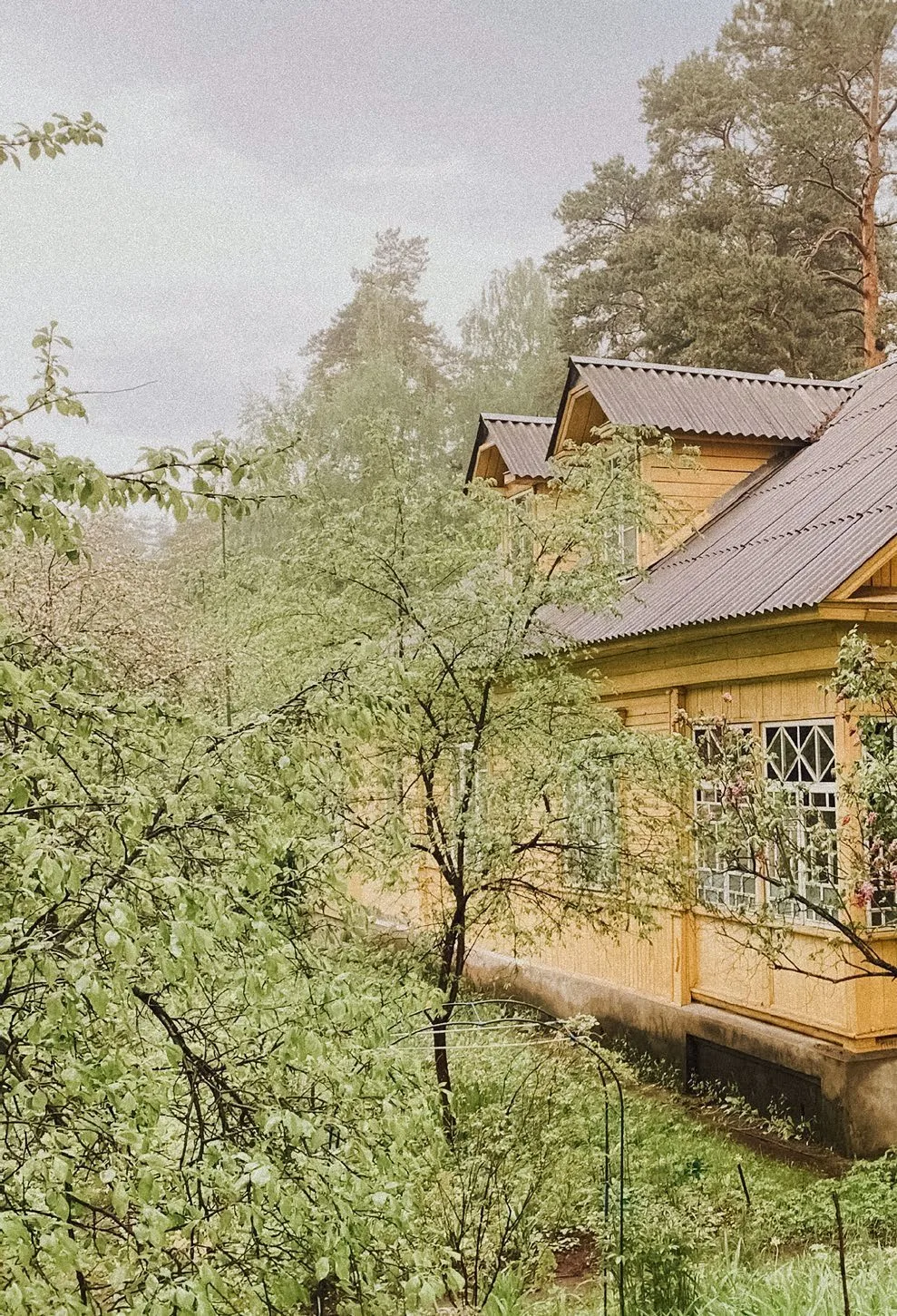 Дом хирурга из НКВД, фото 3