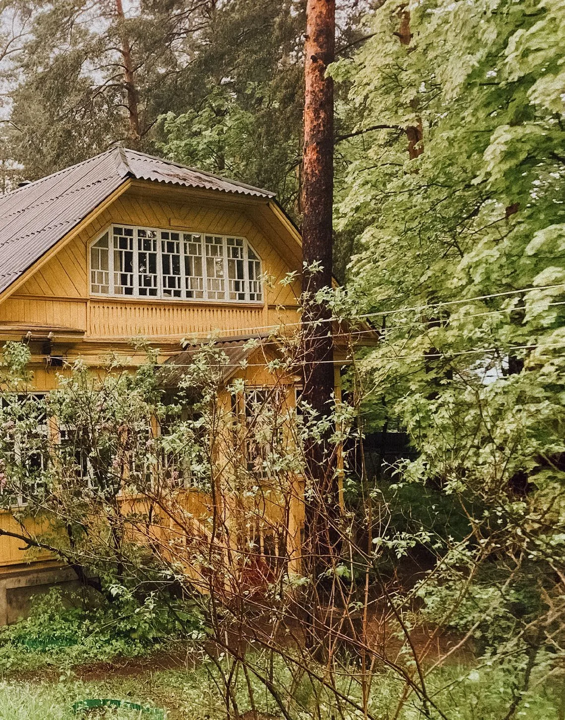 Дом хирурга из НКВД, фото 4
