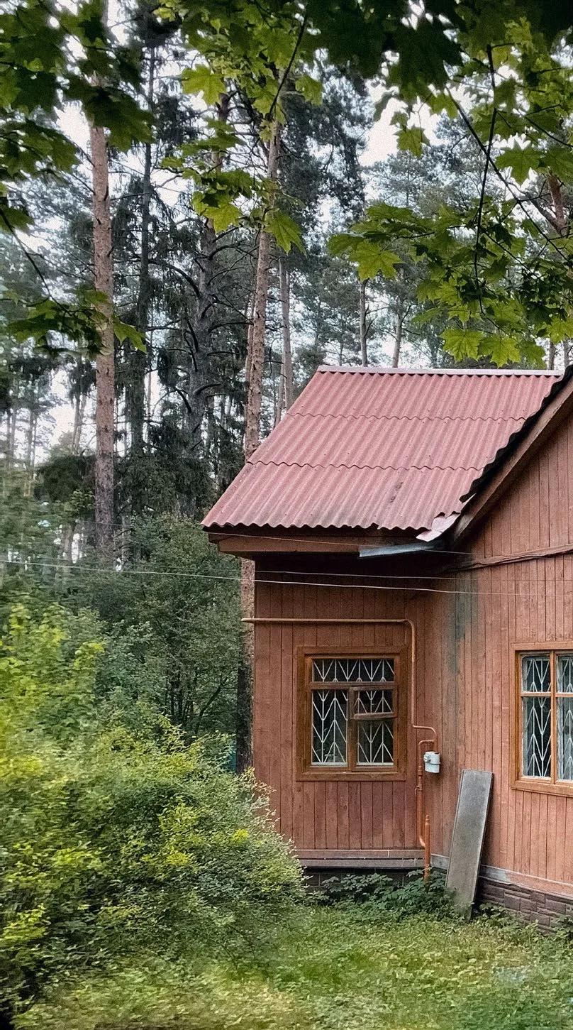 Дом с самолётом или девочкой с косичками, фото 3