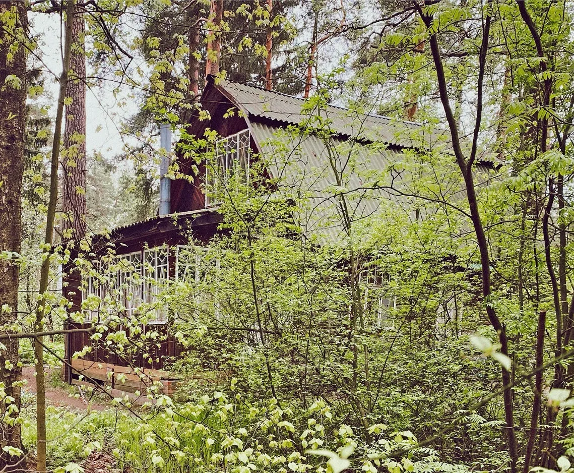 Дом, спрятанный в листве